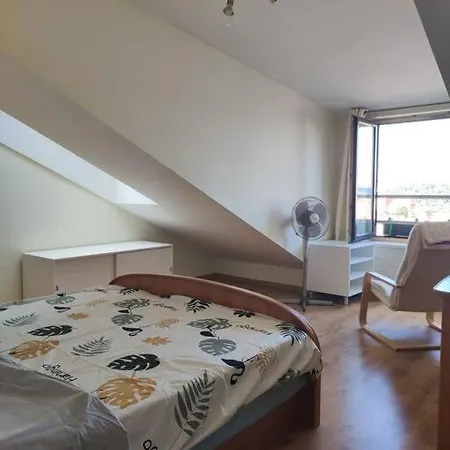 Apartments In The Old Town With An Impressive View Vilnius Exterior photo
